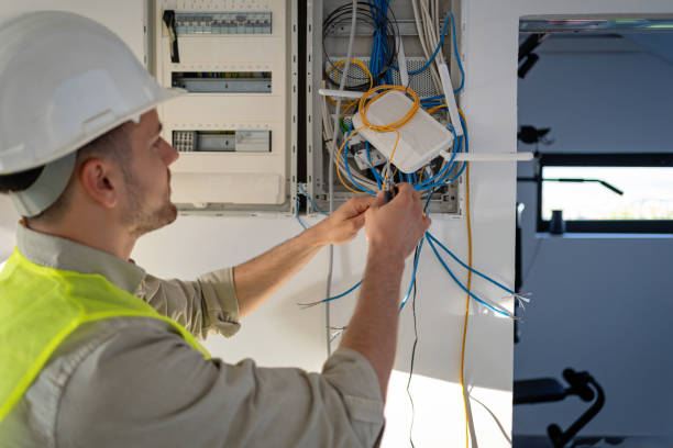 Best Electric Panel Repair  in Colorado City, TX